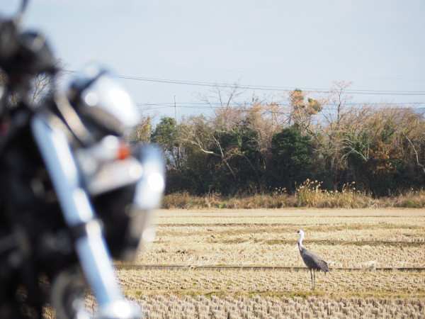 目玉ムースさんが投稿したバイクライフ