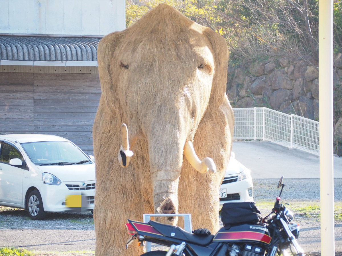 目玉ムースさんが投稿したバイクライフ