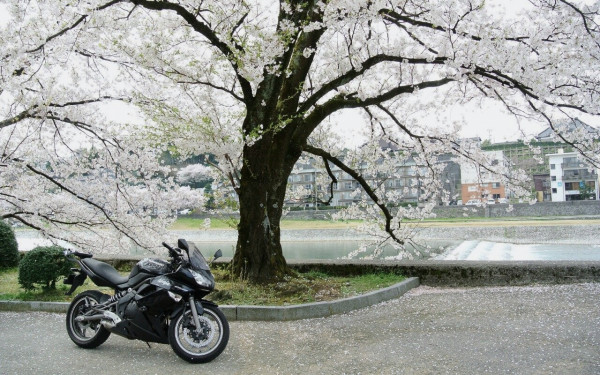 mac10さんが投稿したバイクライフ