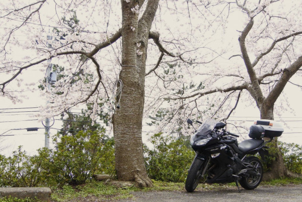 mac10さんが投稿したバイクライフ