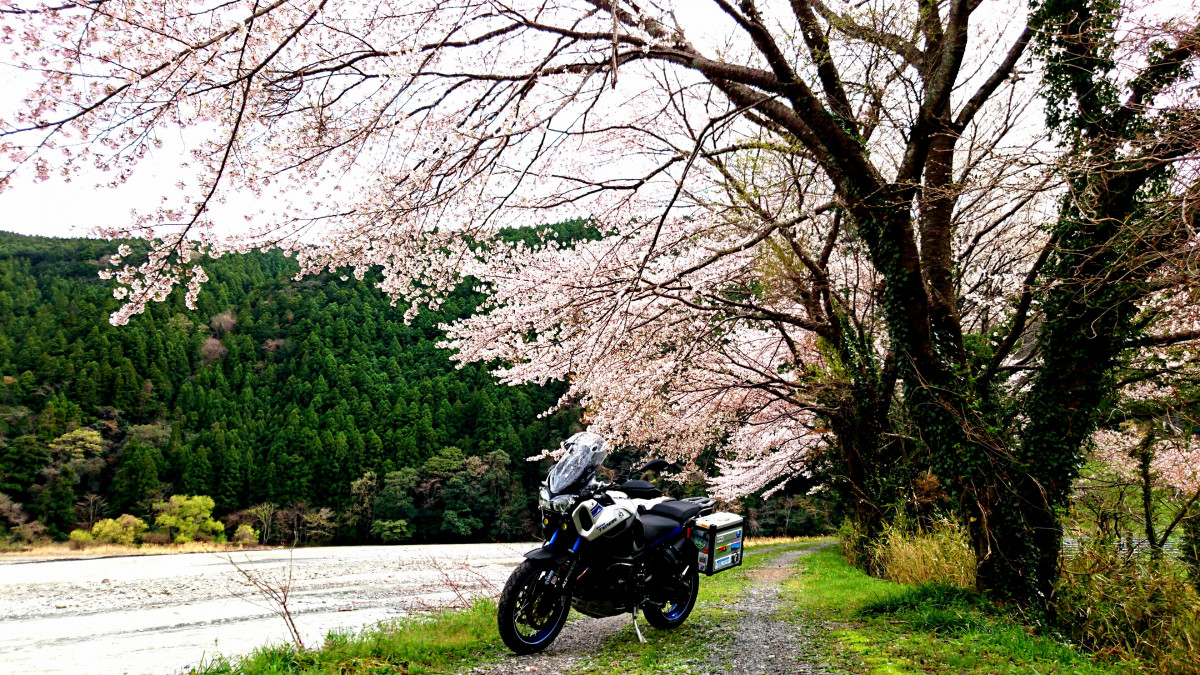 りゅうて～さんが投稿したバイクライフ