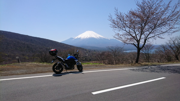 でんどろびうむさんが投稿したツーリング情報