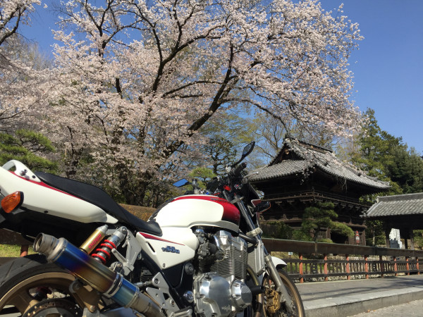 オザワンさんが投稿したバイクライフ