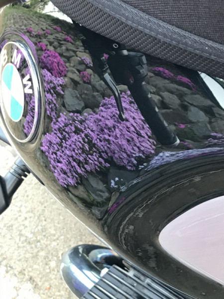 みっちゃんさんが投稿したバイクライフ