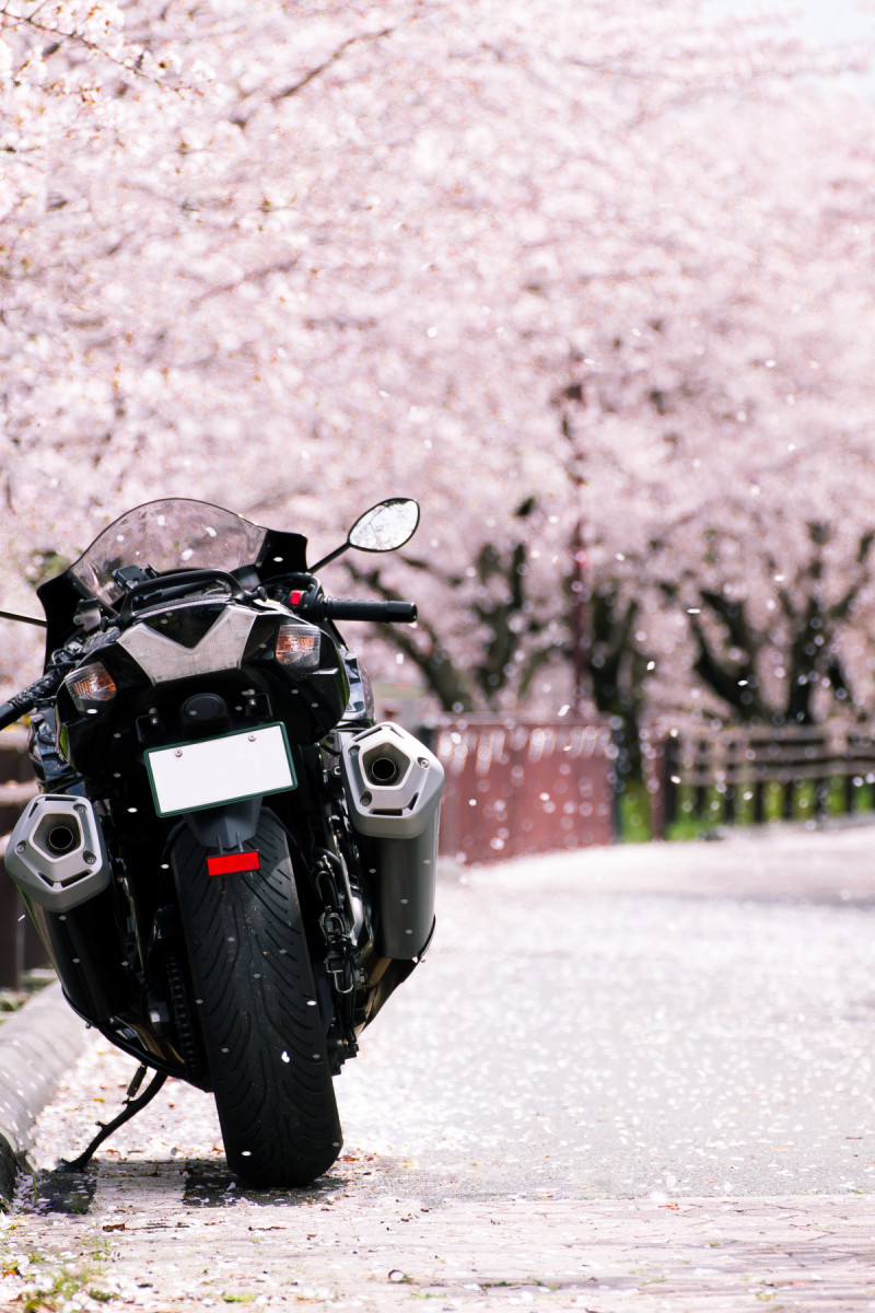 てっぴーさんが投稿したバイクライフ