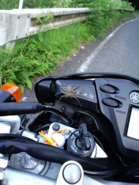 バイク親爺さんが投稿したバイクライフ
