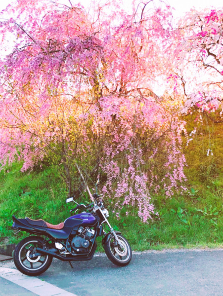JADE250さんが投稿したバイクライフ