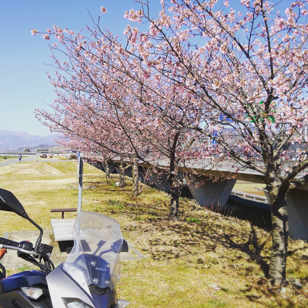 とものしんさんが投稿したバイクライフ