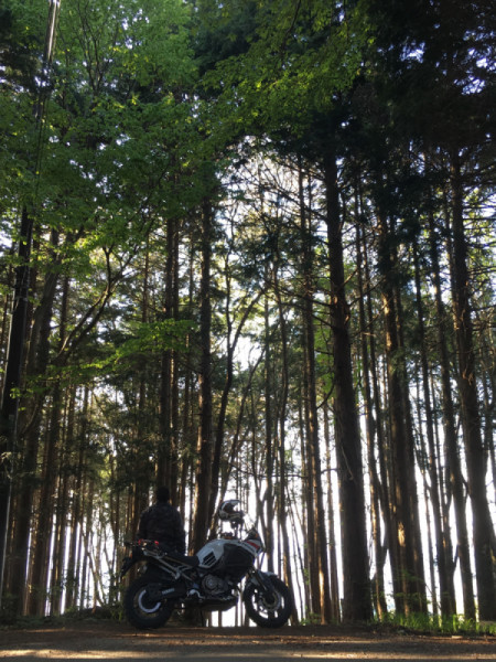 cicciaさんが投稿したバイクライフ