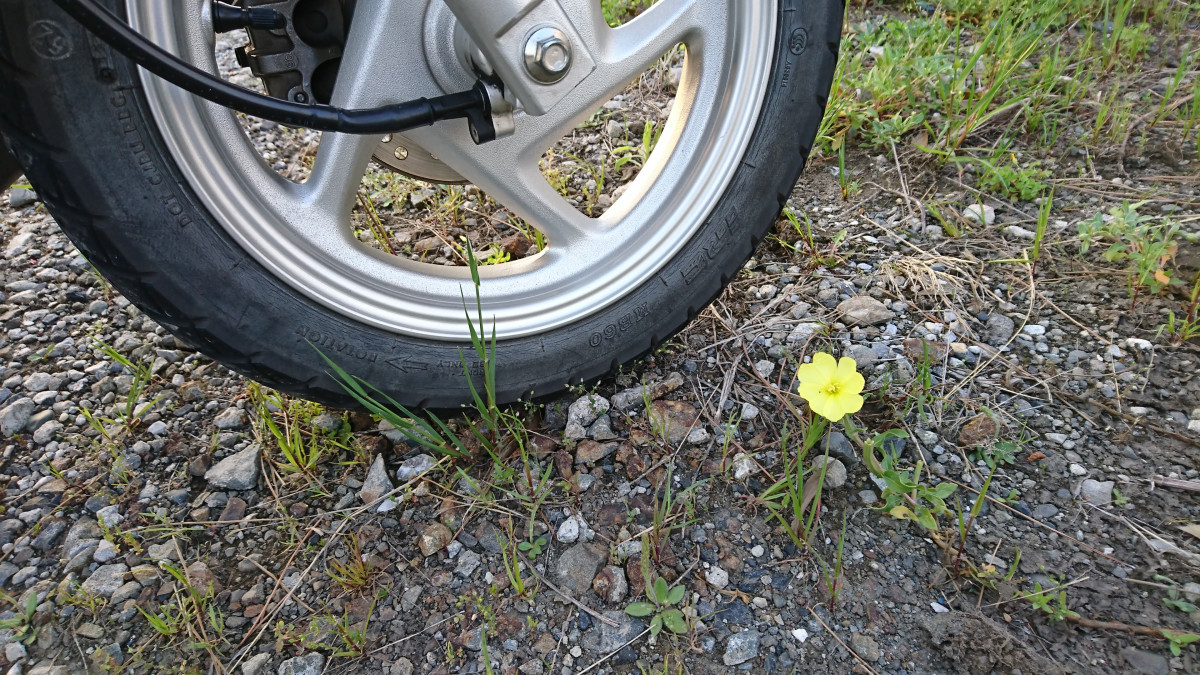 Eiwaさんが投稿したバイクライフ