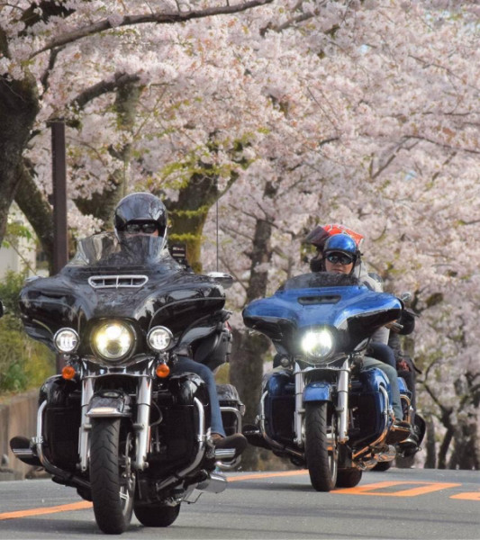 マーシーさんが投稿したバイクライフ