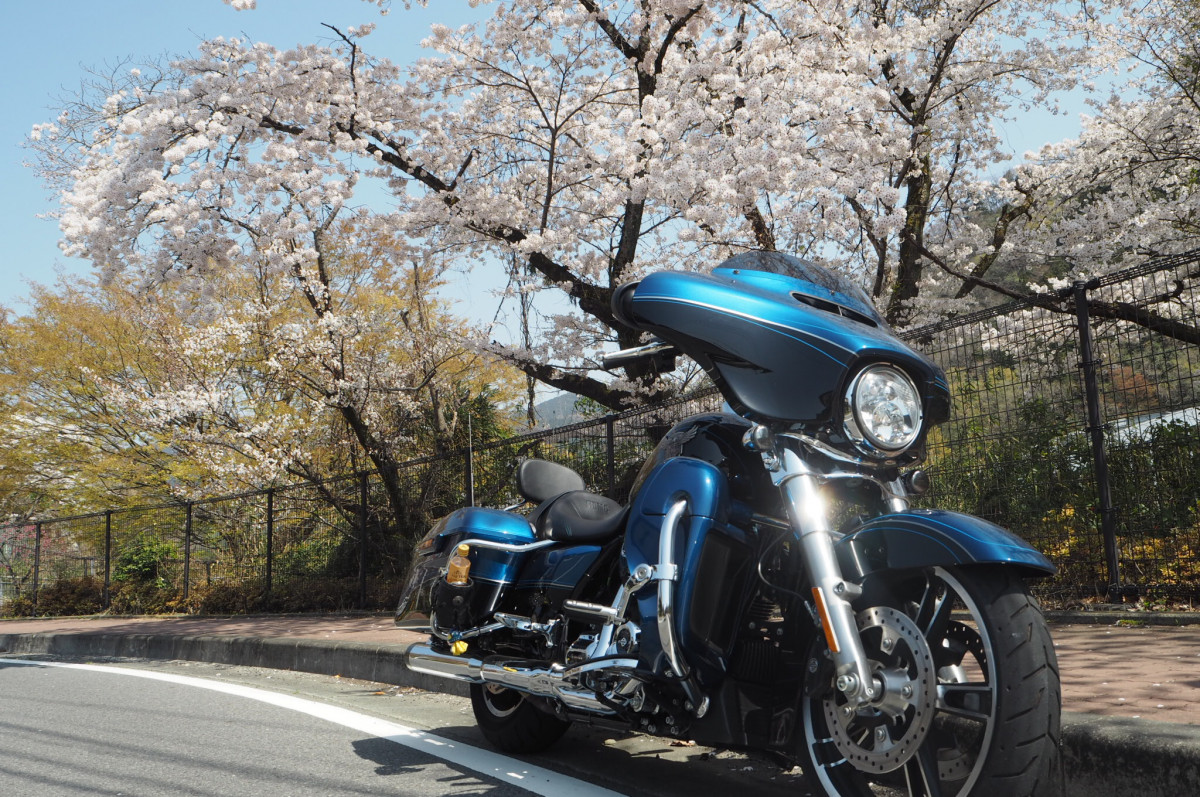 マーシーさんが投稿したバイクライフ