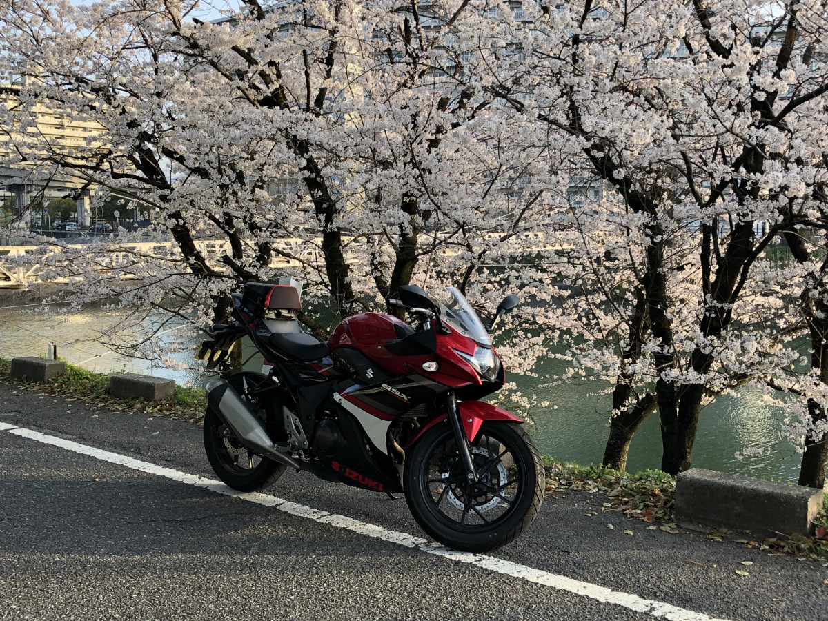 レイさんが投稿したバイクライフ