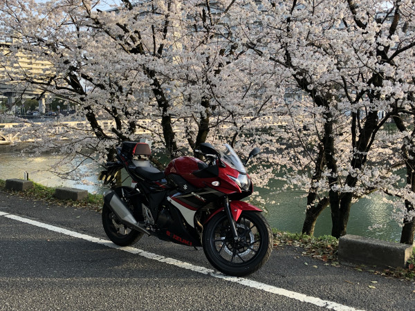 レイさんが投稿したバイクライフ