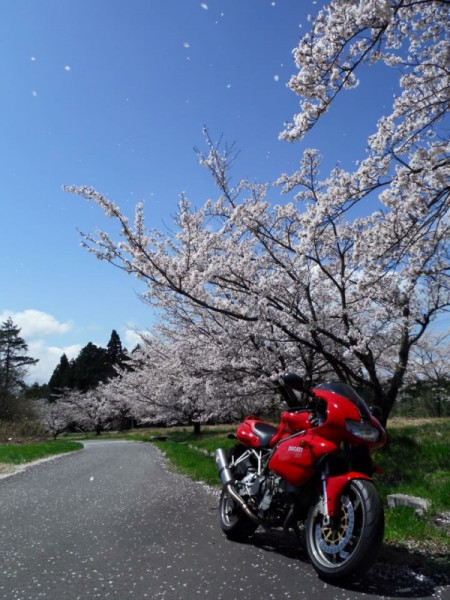 にんにんさんが投稿したバイクライフ