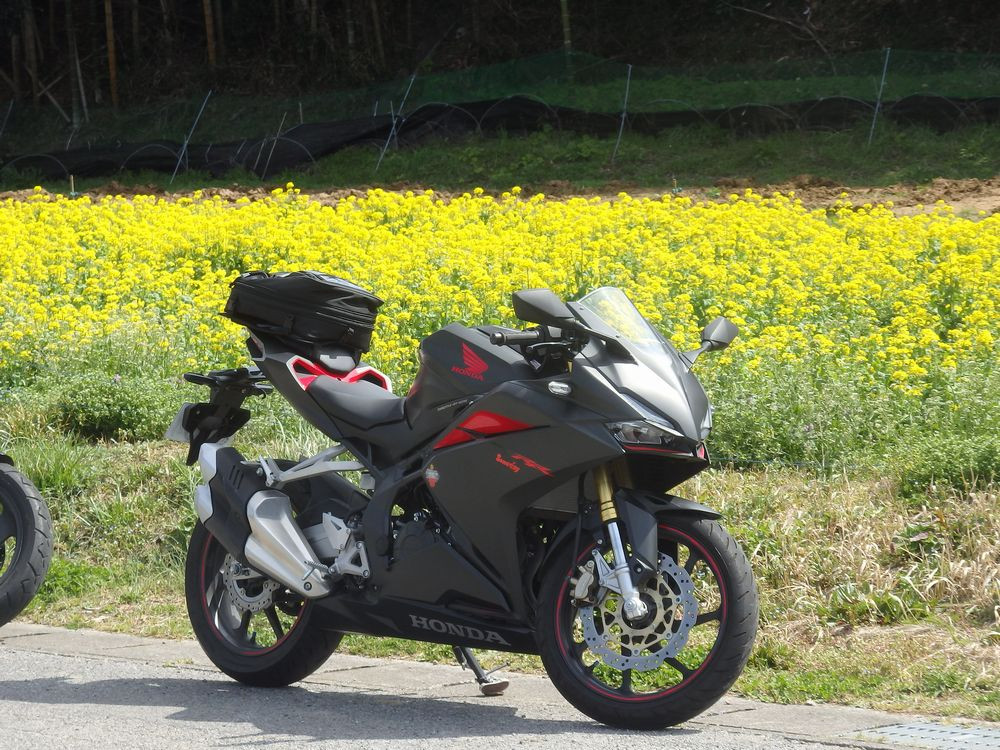 taku293さんが投稿したバイクライフ
