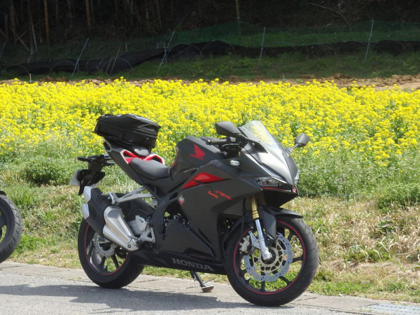 taku293さんが投稿したバイクライフ