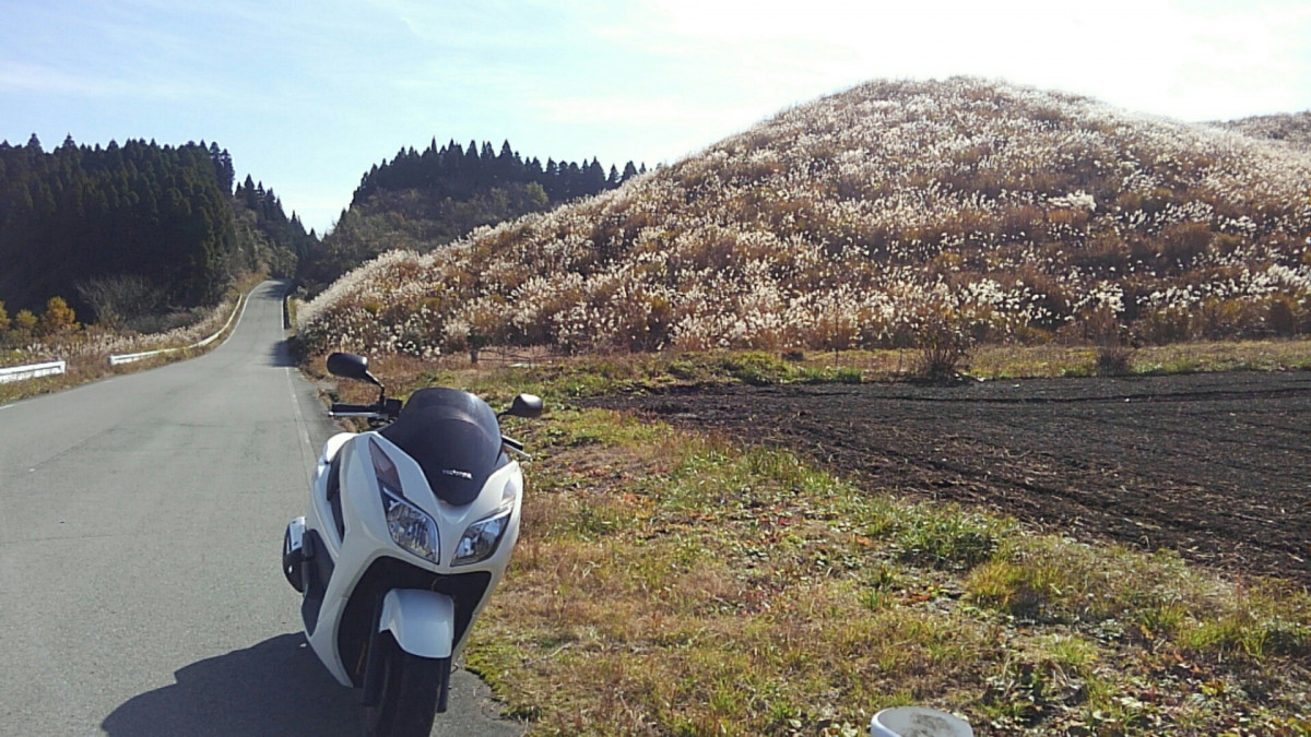 マンザンさんが投稿したツーリング情報