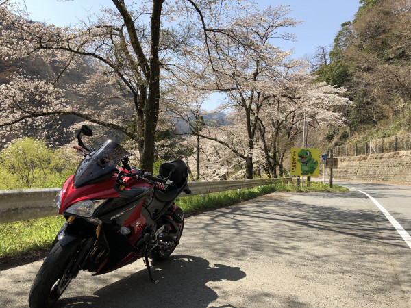 やんＪさんが投稿したツーリング情報
