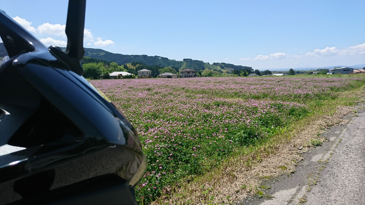 ＰＯＮさんが投稿したツーリング情報