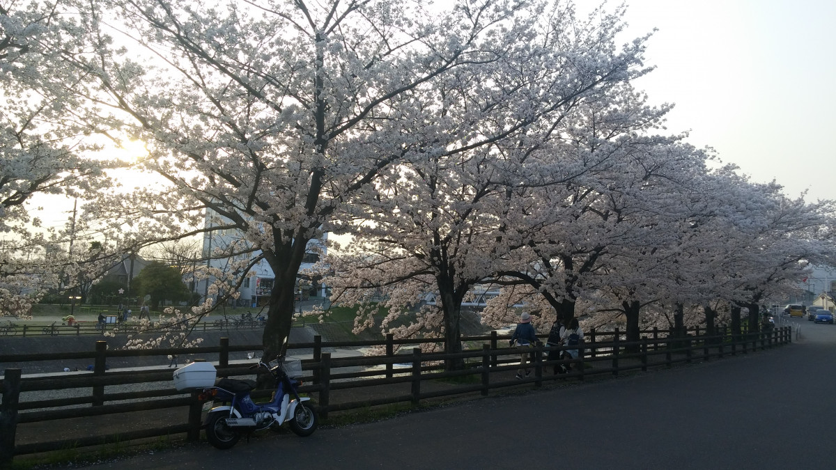すーさんさんが投稿したツーリング情報