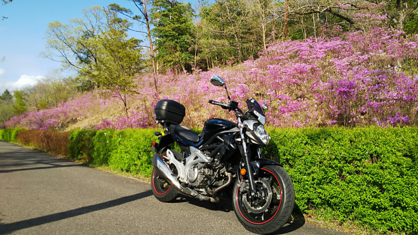 すみれっこラブさんが投稿したツーリング情報