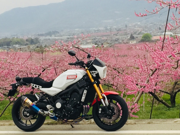 tomoさんが投稿したツーリング情報