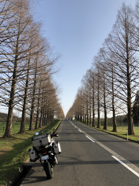 あきさんが投稿したツーリング情報