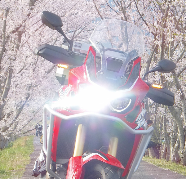 ＳＨＩＮさんが投稿したツーリング情報