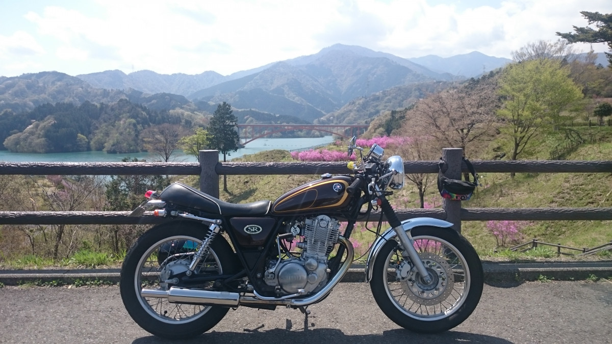 SHINYAHさんが投稿したツーリング情報