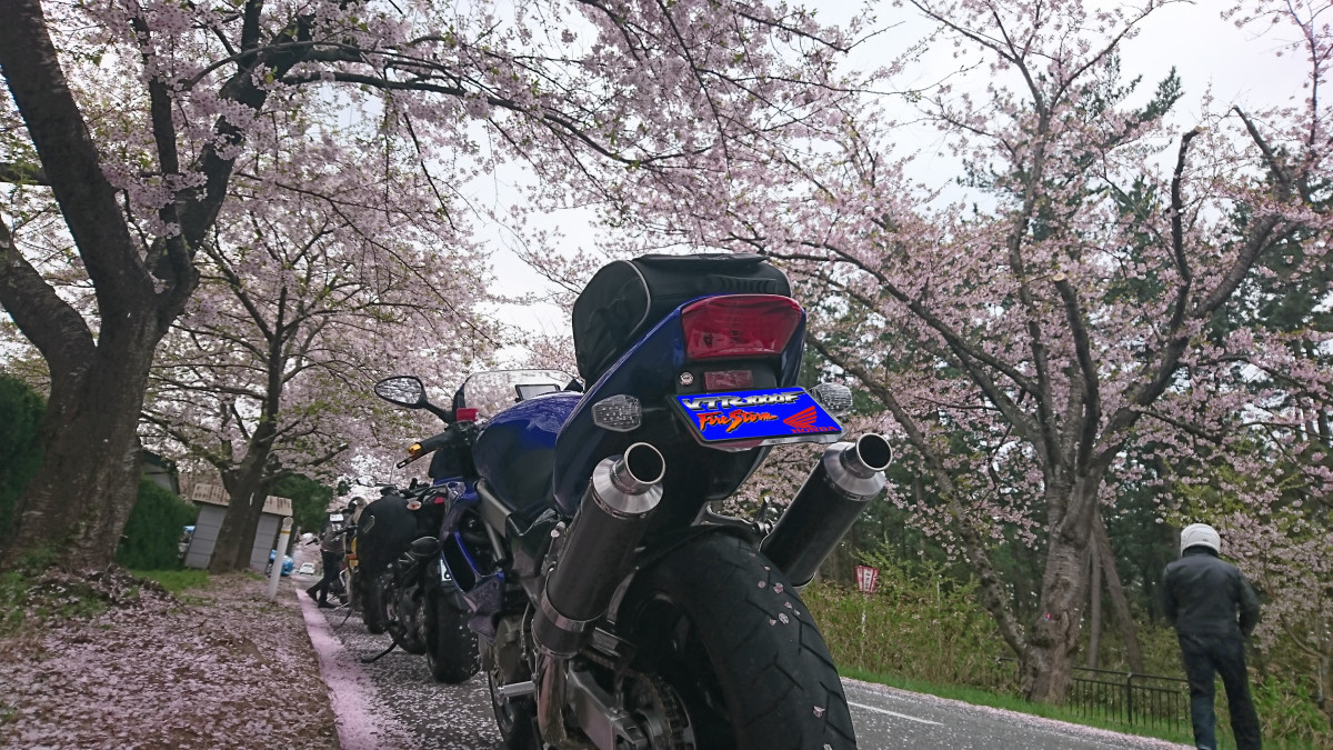 しぇぱさんが投稿したツーリング情報