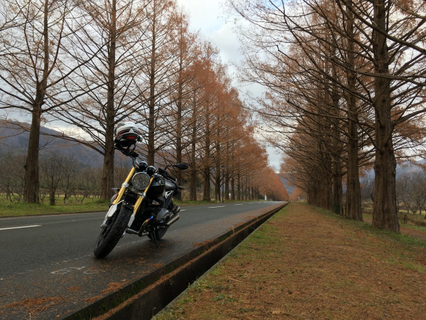ひざかっくんさんが投稿したツーリング情報