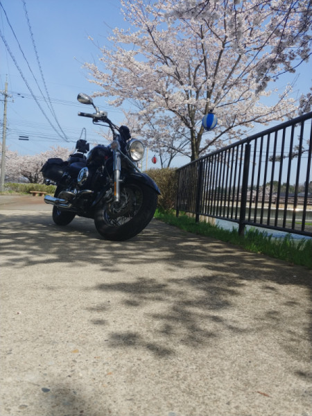 さんが投稿したツーリング情報