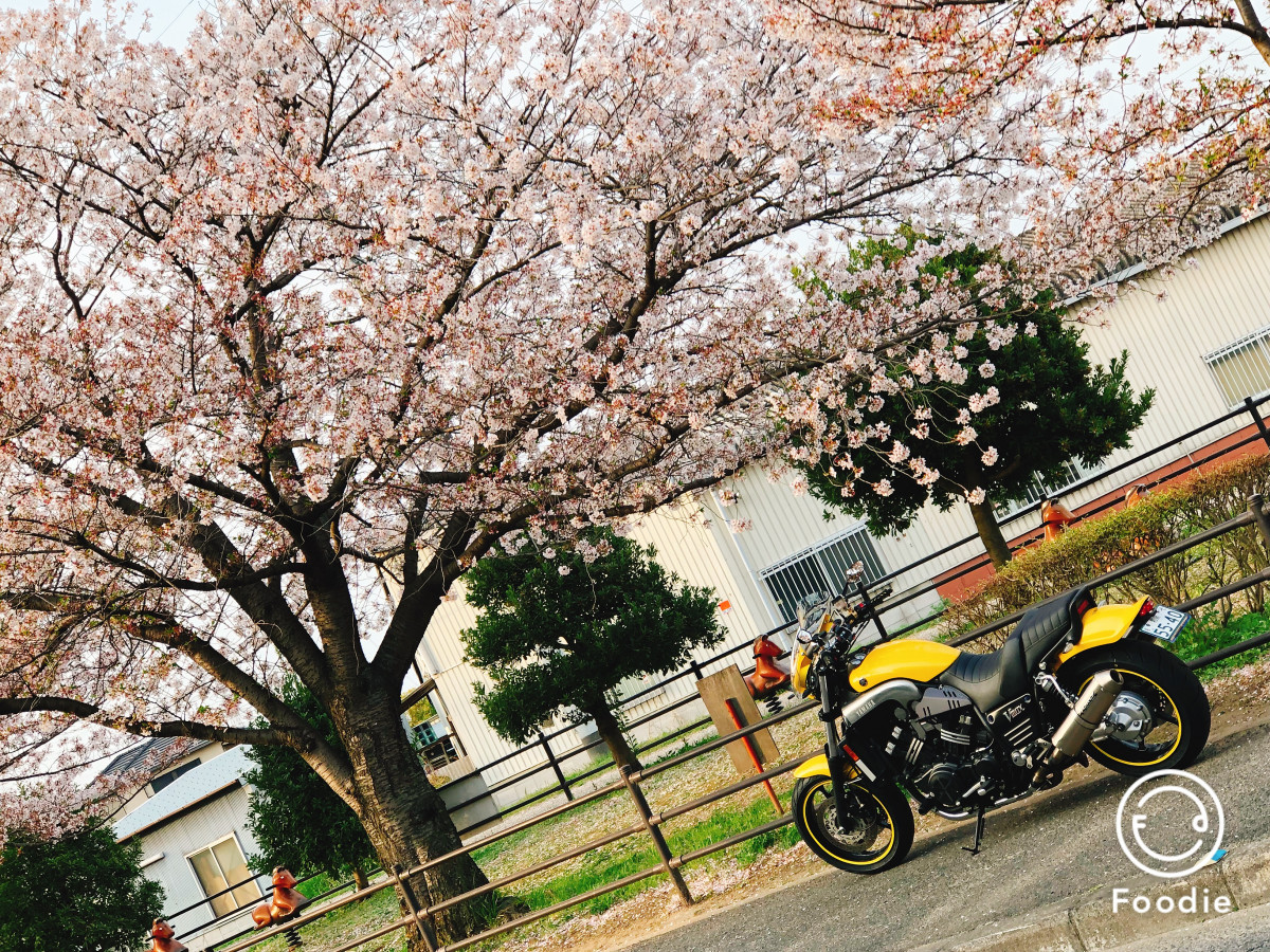 SADAさんが投稿したツーリング情報