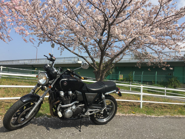 S.Satoさんが投稿したツーリング情報