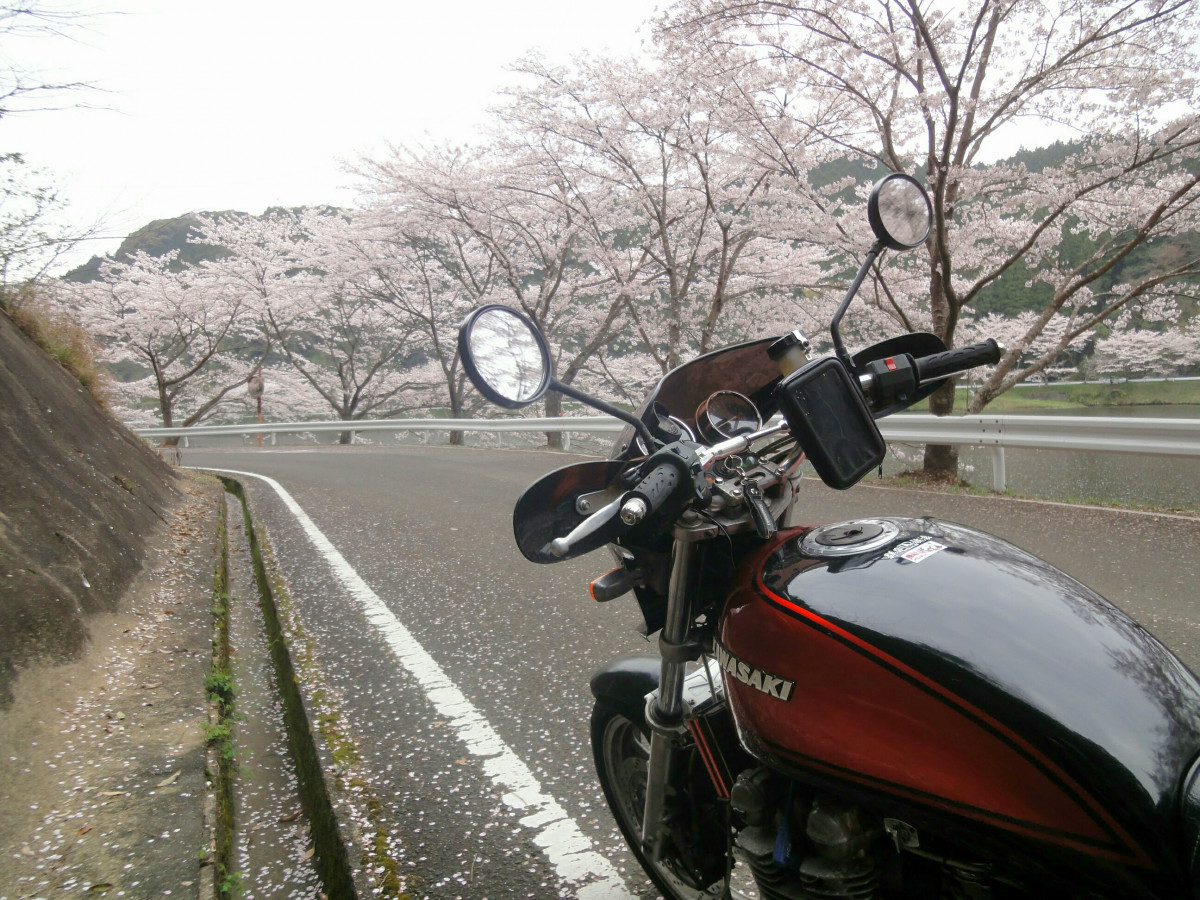 kamoさんが投稿したツーリング情報