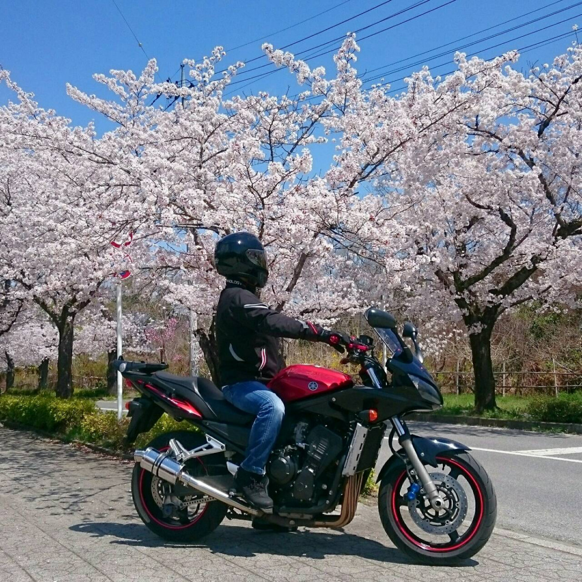 ふぁざさんが投稿したツーリング情報