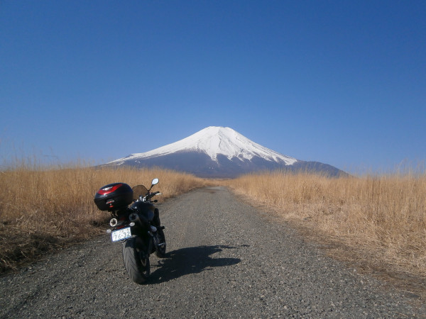 きくらげさんが投稿したツーリング情報