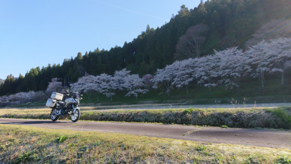 さんが投稿したツーリング情報