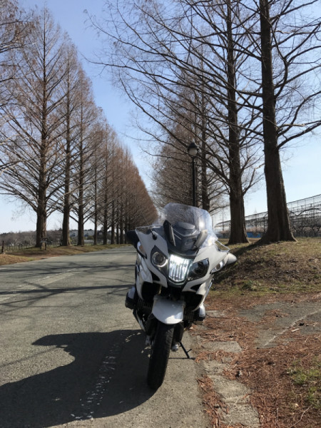 きほねこさんが投稿したツーリング情報