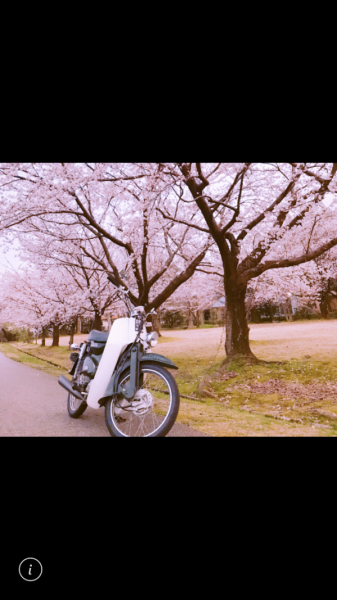 エビフライダーさんが投稿したツーリング情報