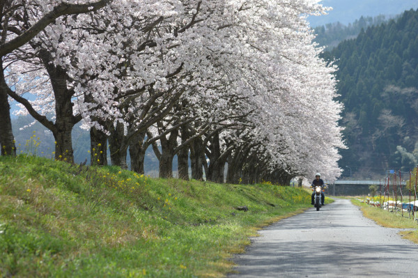 山村俊太さんが投稿したツーリング情報