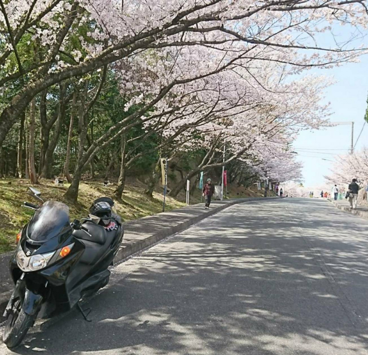 さんが投稿したツーリング情報