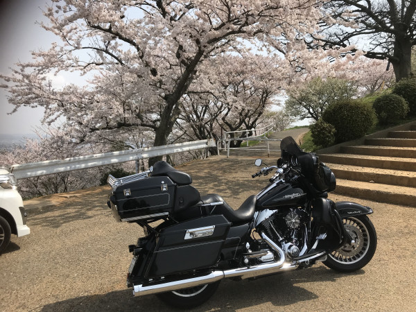 たくさんさんが投稿したツーリング情報