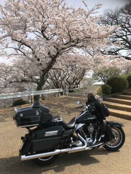 たくさんさんが投稿したツーリング情報