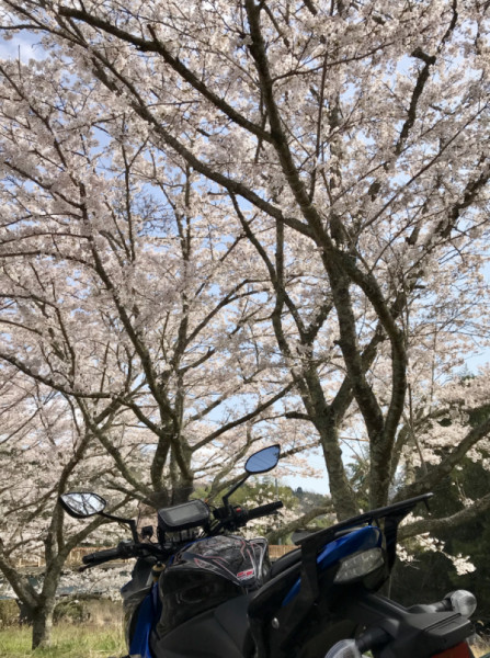 KOHSIさんが投稿したツーリング情報