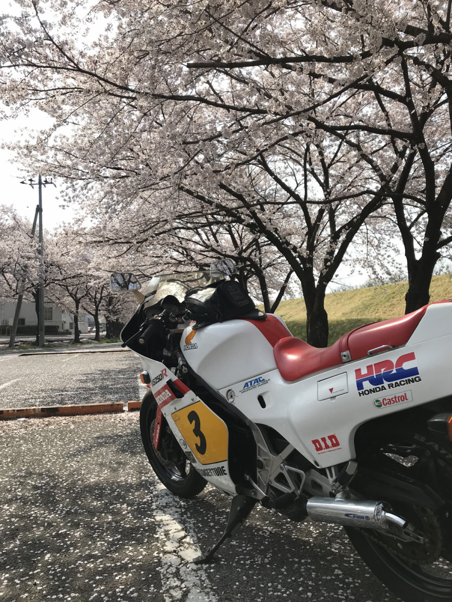 benioさんが投稿したツーリング情報