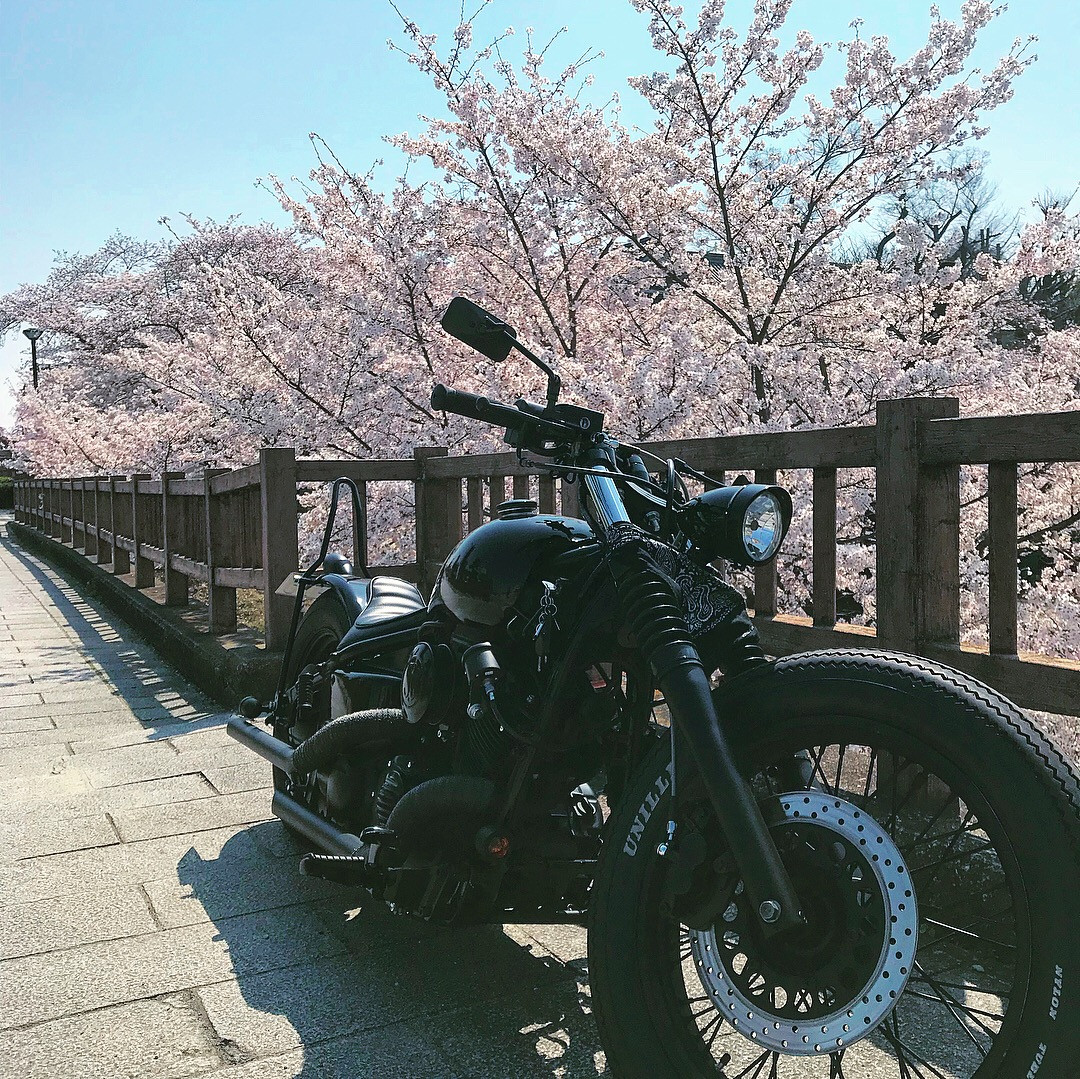 ZEROさんが投稿したツーリング情報