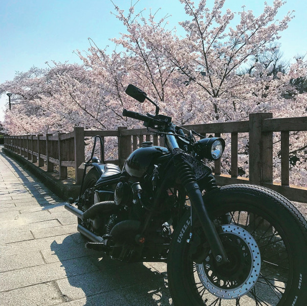 ZEROさんが投稿したツーリング情報