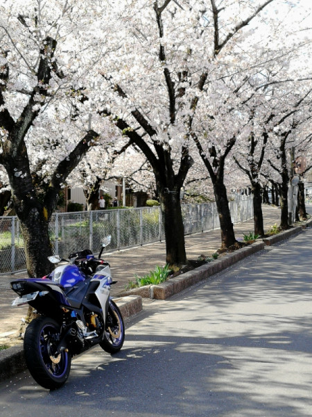 ぜっとさんが投稿したツーリング情報